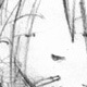 Sketches thumbnail
