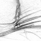 Sketch thumbnail